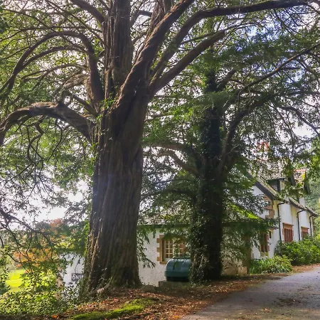 High Eskholme Holiday home